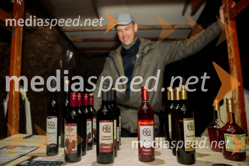 Vinska pot v rovih pod starim Kranjem 2024, sobota 2