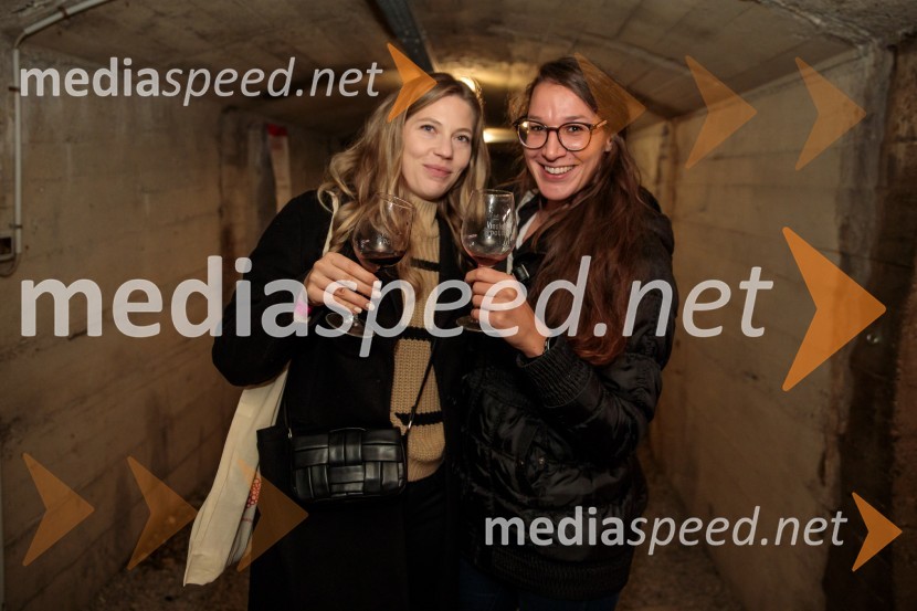 Vinska pot v rovih pod starim Kranjem 2024, sobota 2