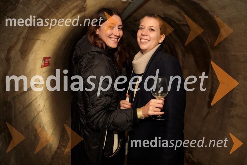 Vinska pot v rovih pod starim Kranjem 2024, sobota 2