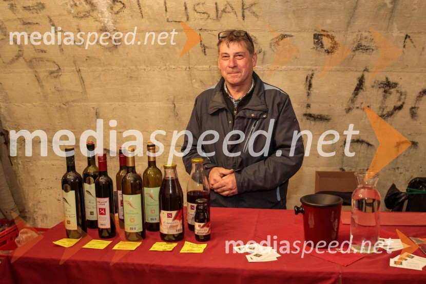 Vinska pot v rovih pod starim Kranjem 2024, sobota 2