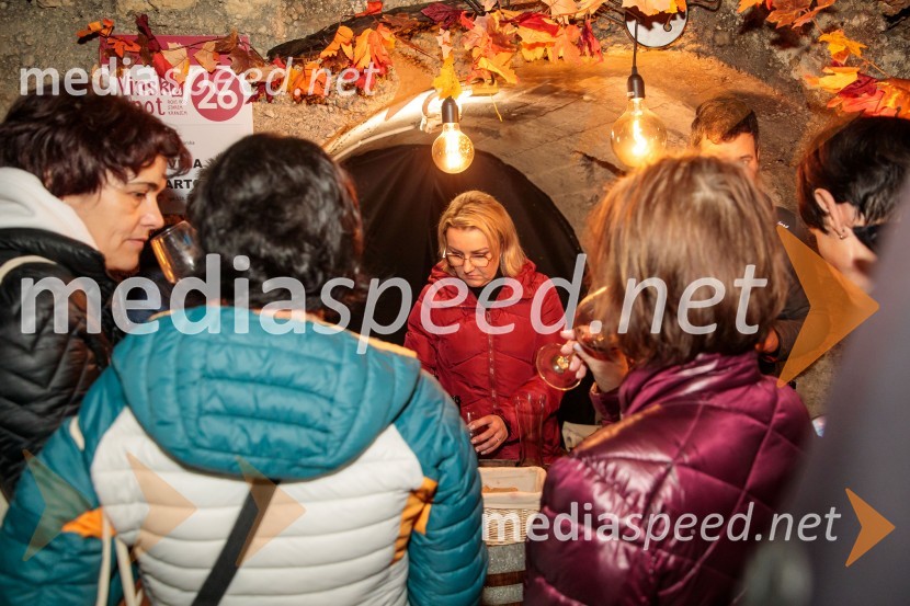 Vinska pot v rovih pod starim Kranjem 2024, sobota 2