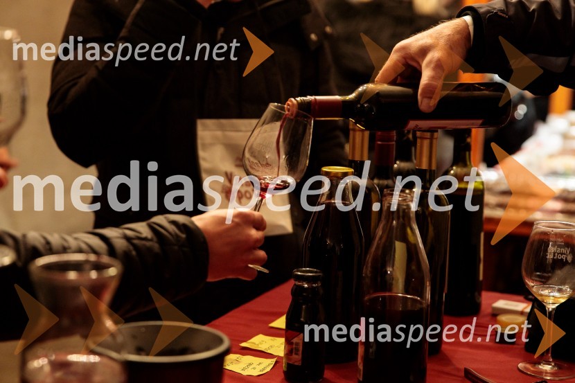 Vinska pot v rovih pod starim Kranjem 2024, sobota 2