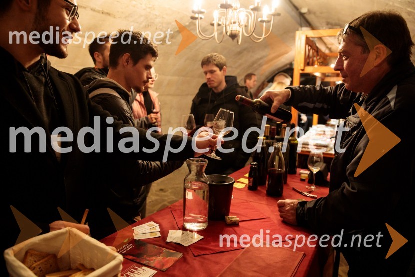 Vinska pot v rovih pod starim Kranjem 2024, sobota 2