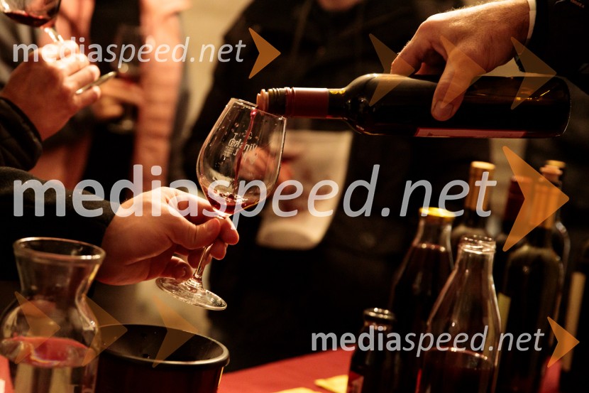 Vinska pot v rovih pod starim Kranjem 2024, sobota 2