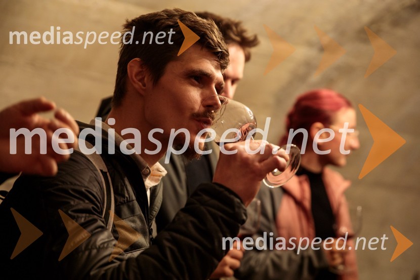 Vinska pot v rovih pod starim Kranjem 2024, sobota 2