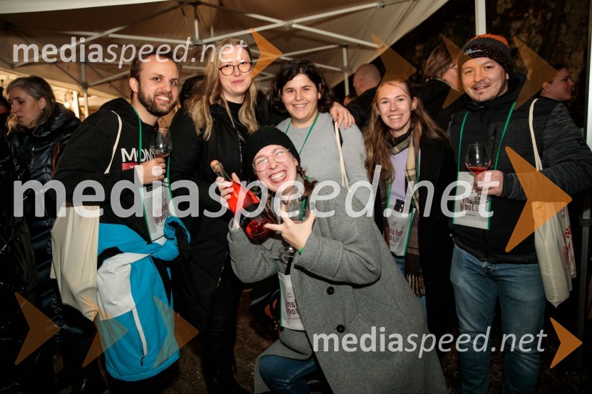 Vinska pot v rovih pod starim Kranjem 2024, sobota 2