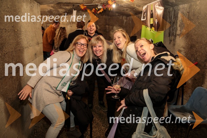 Vinska pot v rovih pod starim Kranjem 2024, sobota 2