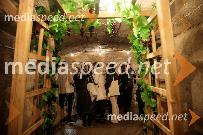 Vinska pot v rovih pod starim Kranjem 2024, sobota 2