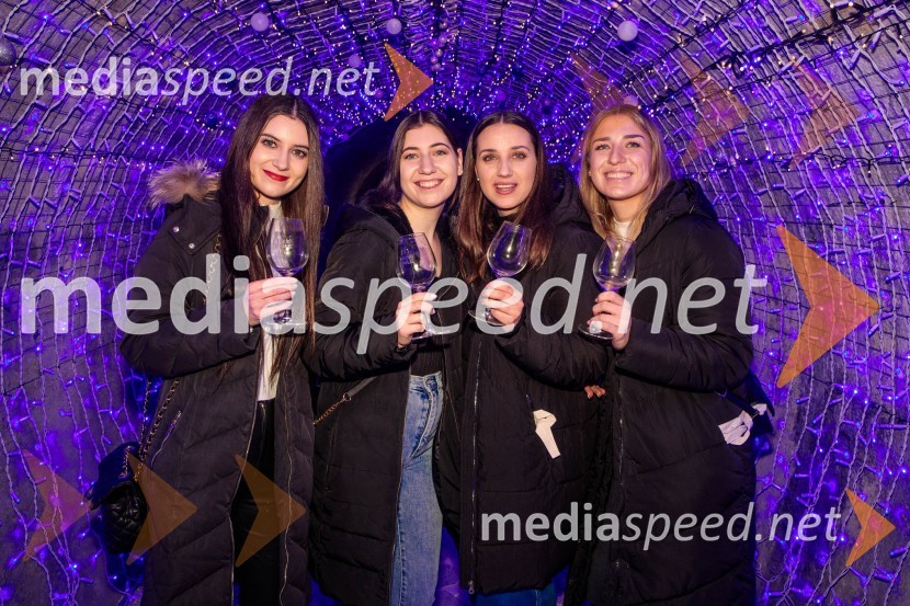 Vinska pot v rovih pod starim Kranjem 2024, sobota 2