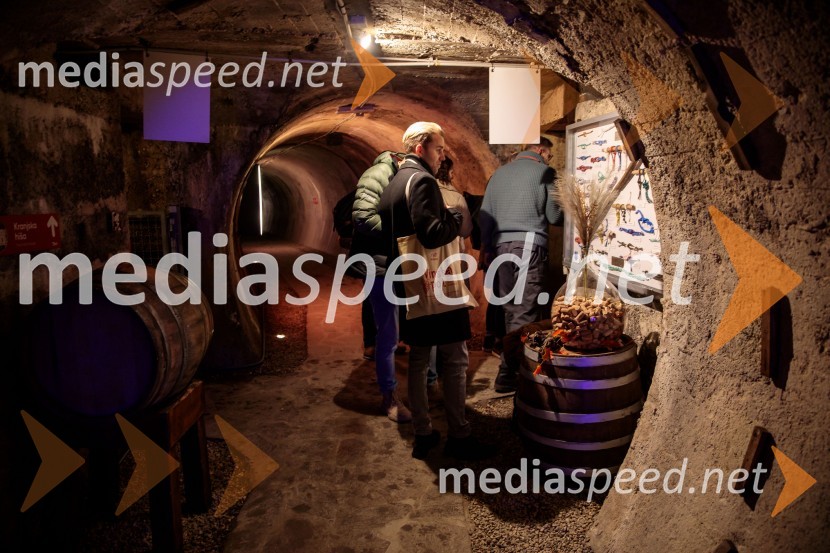 Vinska pot v rovih pod starim Kranjem 2024, sobota 2