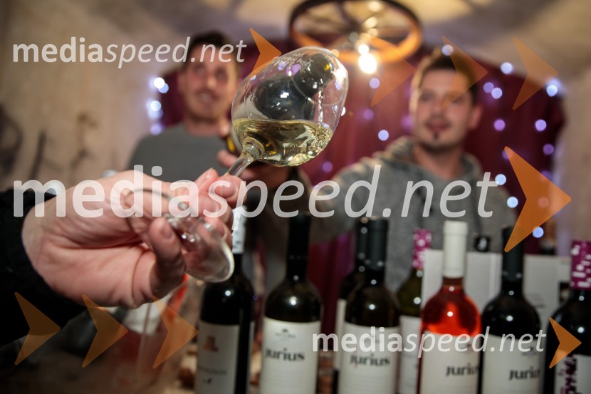 Vinska pot v rovih pod starim Kranjem 2024, sobota 2