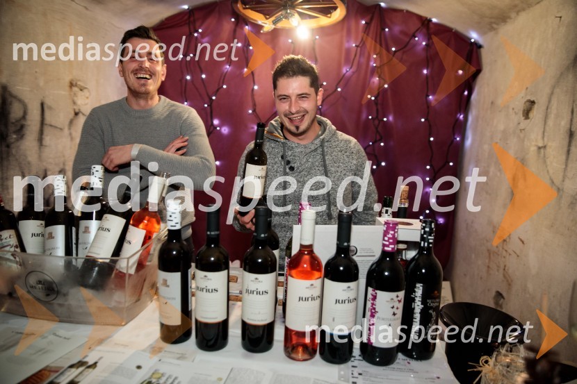 Vinska pot v rovih pod starim Kranjem 2024, sobota 2