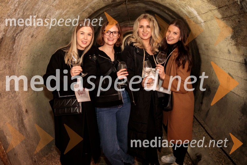 Vinska pot v rovih pod starim Kranjem 2024, sobota 2