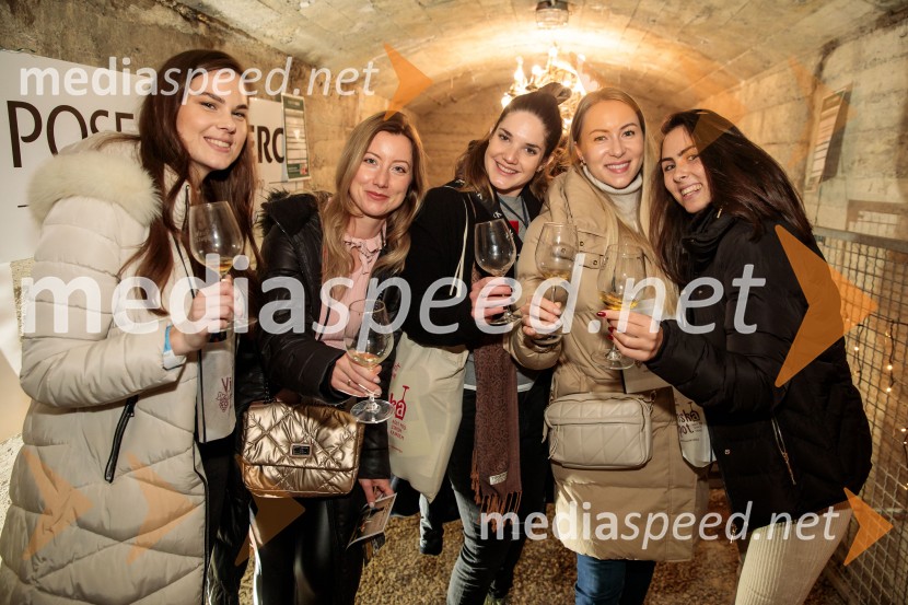 Vinska pot v rovih pod starim Kranjem 2024, sobota 2