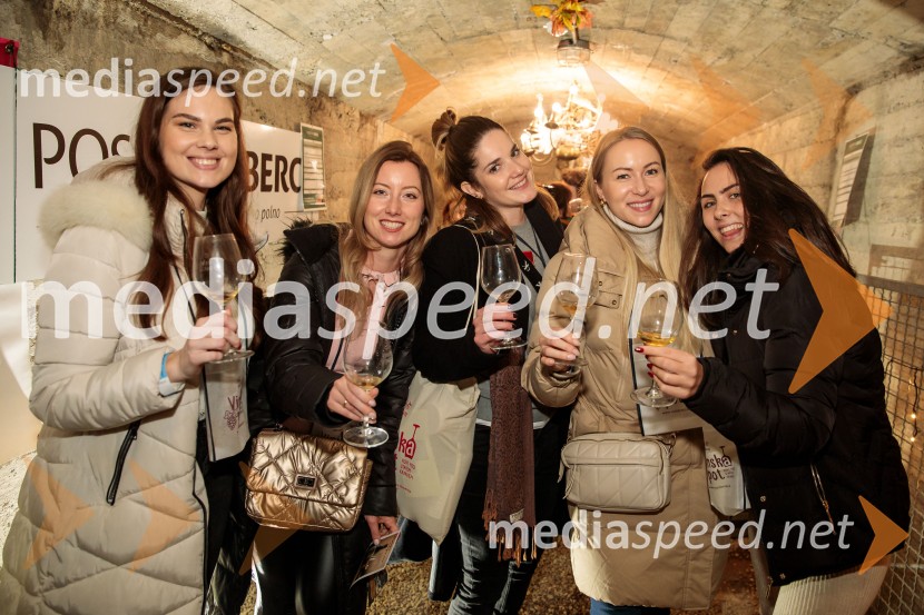 Vinska pot v rovih pod starim Kranjem 2024, sobota 2