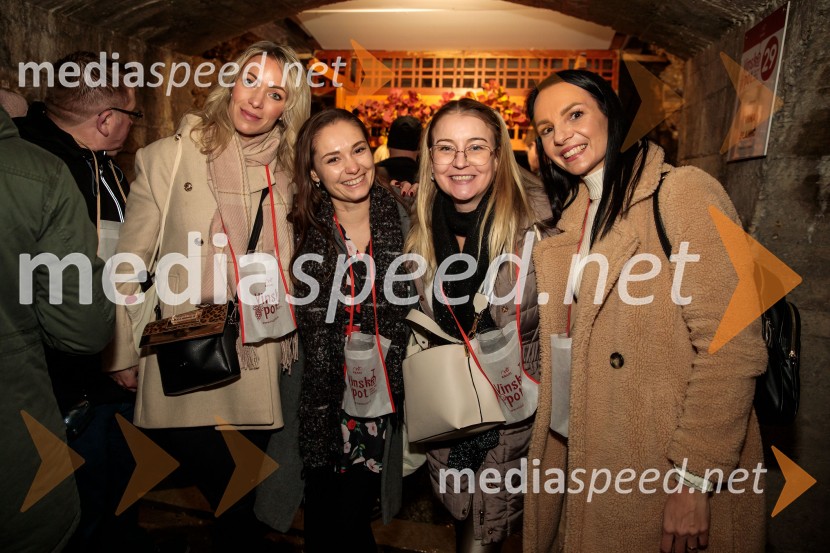 Vinska pot v rovih pod starim Kranjem 2024, sobota 2