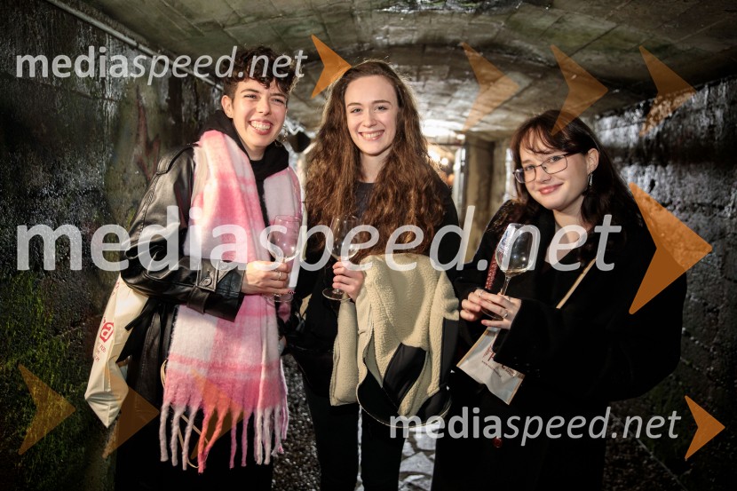 Vinska pot v rovih pod starim Kranjem 2024, sobota 2