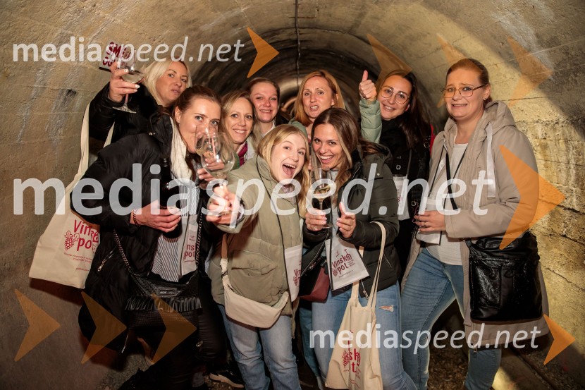 Vinska pot v rovih pod starim Kranjem 2024, sobota 2