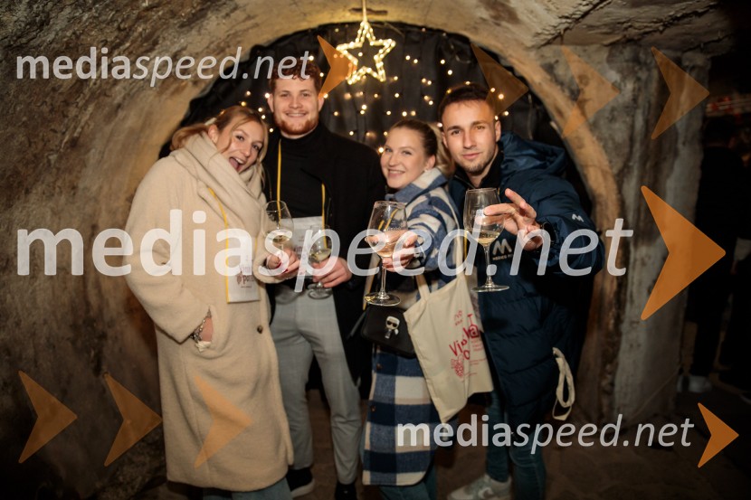 Vinska pot v rovih pod starim Kranjem 2024, sobota 2