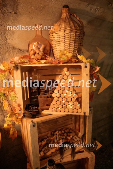 Vinska pot v rovih pod starim Kranjem 2024, sobota 2