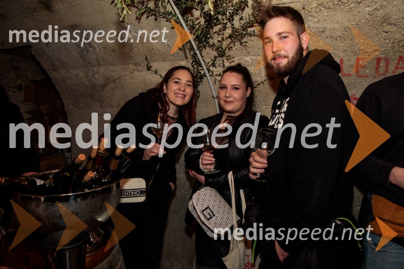 Vinska pot v rovih pod starim Kranjem 2024, sobota 2