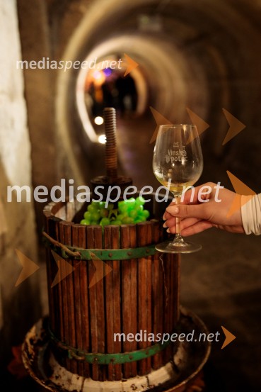 Vinska pot v rovih pod starim Kranjem 2024, sobota 2