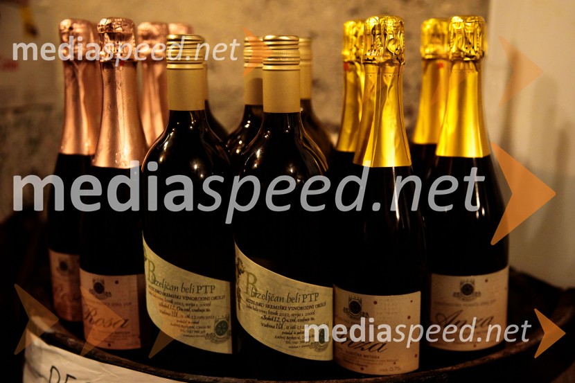 Vinska pot v rovih pod starim Kranjem 2024, sobota 2