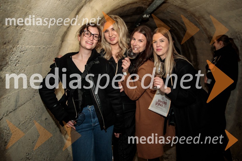 Vinska pot v rovih pod starim Kranjem 2024, sobota 2