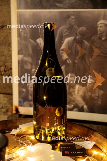 Vinska pot v rovih pod starim Kranjem 2024, sobota 2