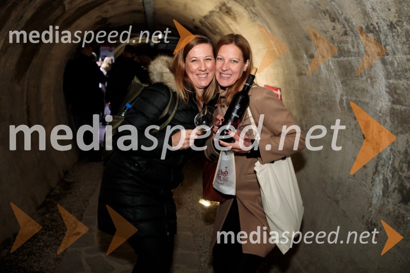 Vinska pot v rovih pod starim Kranjem 2024, sobota 2