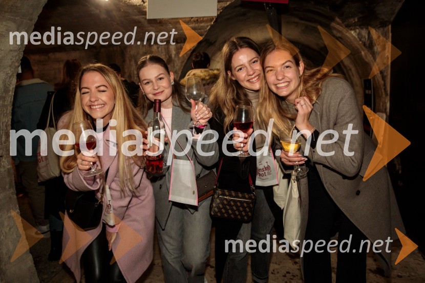 Vinska pot v rovih pod starim Kranjem 2024, sobota 2