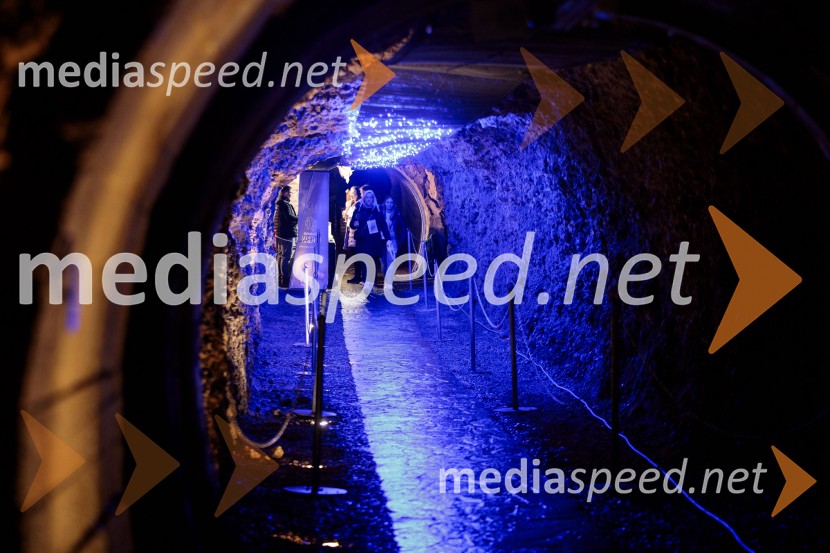 Vinska pot v rovih pod starim Kranjem 2024, sobota 2