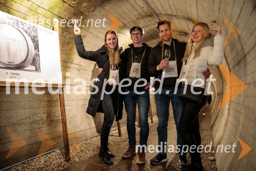 Vinska pot v rovih pod starim Kranjem 2024, sobota 2