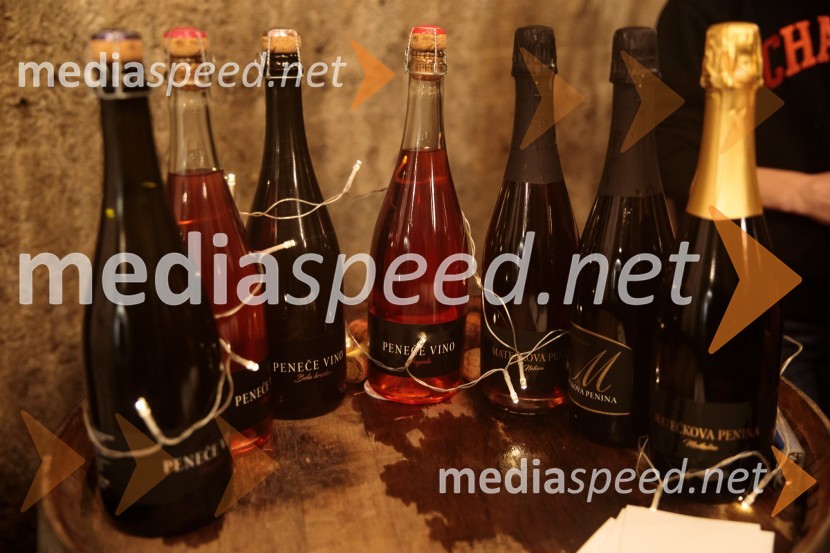 Vinska pot v rovih pod starim Kranjem 2024, sobota 2