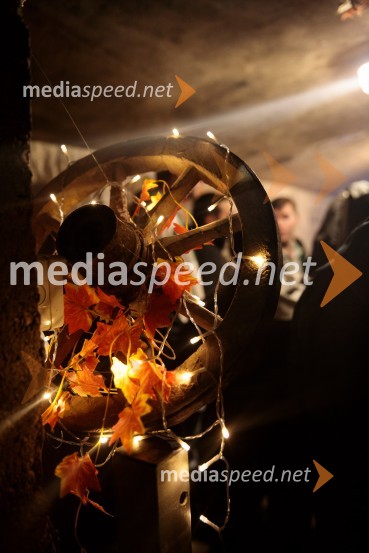 Vinska pot v rovih pod starim Kranjem 2024, sobota 2