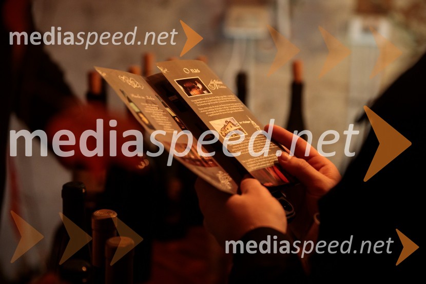 Vinska pot v rovih pod starim Kranjem 2024, sobota 2