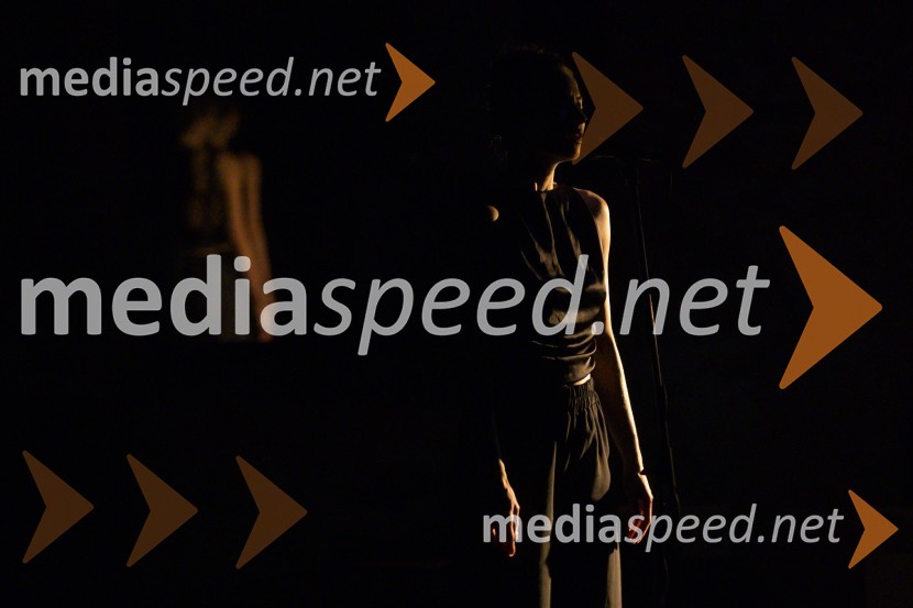  Urška Centa, plesalka flamenkaNa pragu nevidnega, predstava ob jubileju Lutkovnega gledališča Maribor