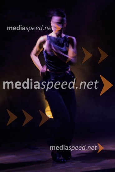  Urška Centa, plesalka flamenkaNa pragu nevidnega, predstava ob jubileju Lutkovnega gledališča Maribor