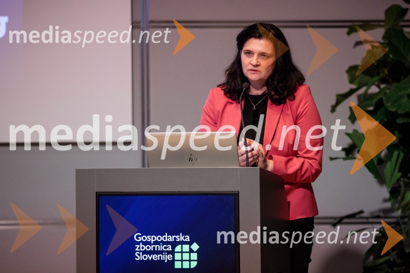 Inštitut Irdo praznoval 20 let obstoja v Sloveniji