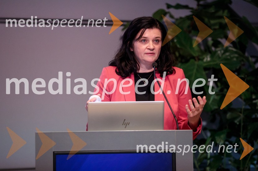 Inštitut Irdo praznoval 20 let obstoja v Sloveniji