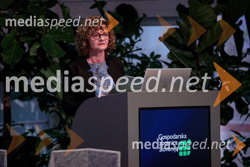 Inštitut Irdo praznoval 20 let obstoja v Sloveniji