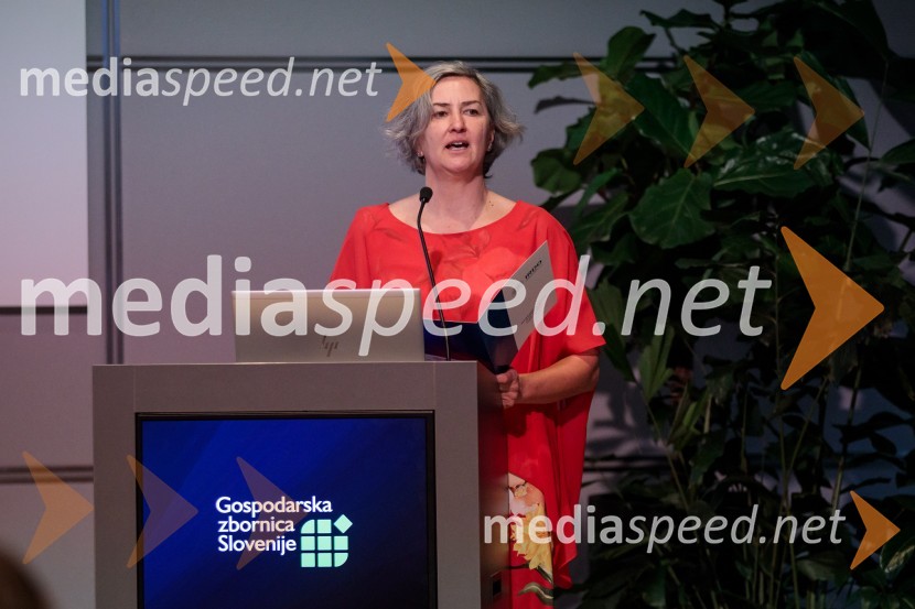 Inštitut Irdo praznoval 20 let obstoja v Sloveniji