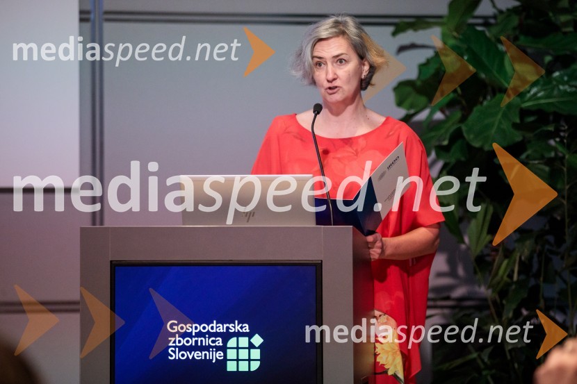 Inštitut Irdo praznoval 20 let obstoja v Sloveniji