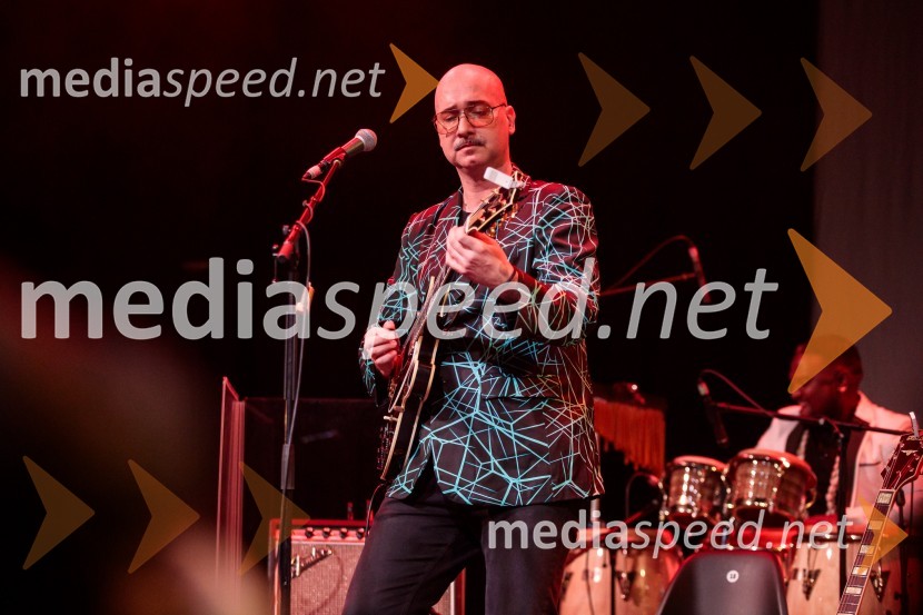  Robert Pikl, kitarist, skupina ManoucheIzštekanih 10: Elevators z Big Bandom RTV Slovenija in gosti