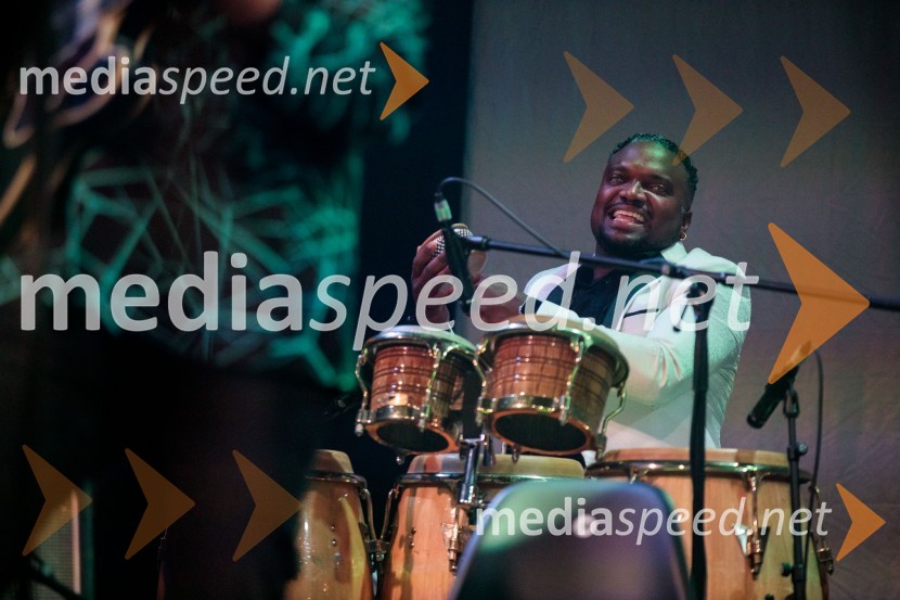 Izštekanih 10: Elevators z Big Bandom RTV Slovenija in gosti