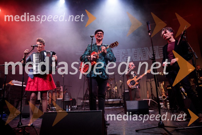  Petra Trobec, glasbenica, skupina Manouche;  Robert Pikl, kitarist, skupina Manouche;  Jure Longyka, moderatorIzštekanih 10: Elevators z Big Bandom RTV Slovenija in gosti