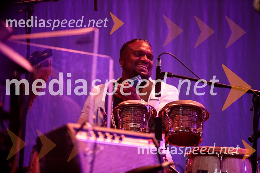 Izštekanih 10: Elevators z Big Bandom RTV Slovenija in gosti