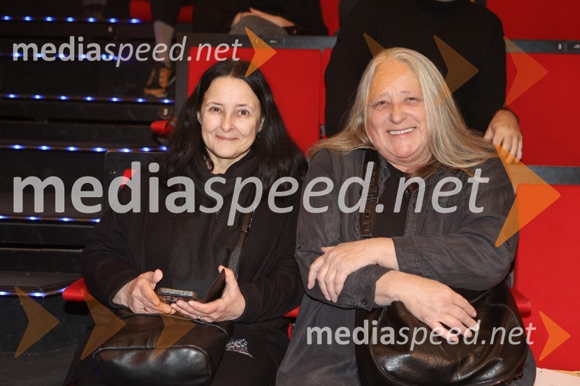 Podelitev plakete ob Prešernovi nagradi Svetlani Makarovič