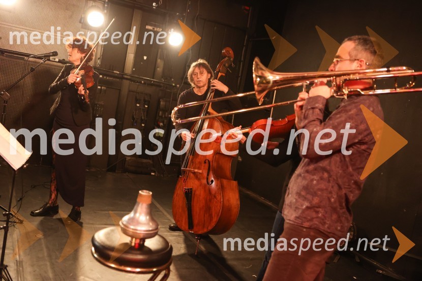 Podelitev plakete ob Prešernovi nagradi Svetlani Makarovič