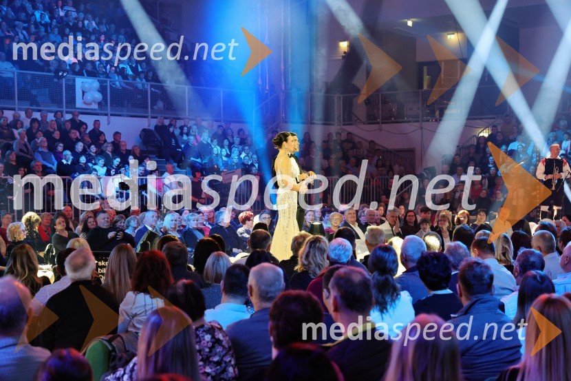 Tradicionalni Silvestrski pozdrav v Mariboru